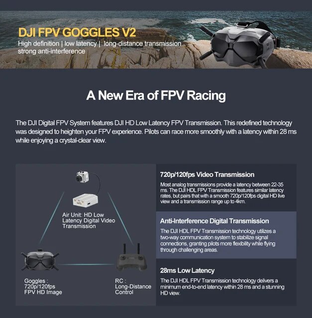 DJI FPV goggles