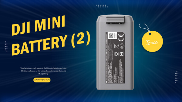 DJI mini 2 battery not charging