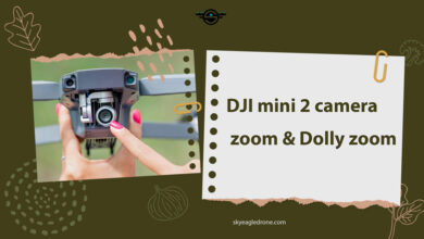 DJI mini 2 camera zoom & Dolly zoom
