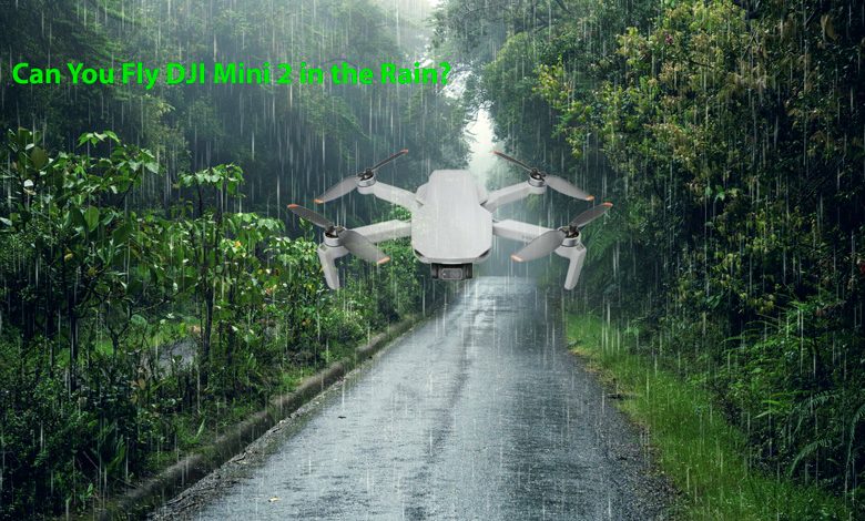 Can You Fly DJI Mini 2 in the Rain?