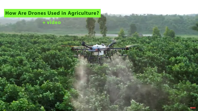 How Are Drones Used in Agriculture?
