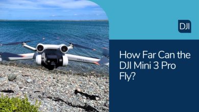 How Fast Can DJI Mini 3 Pro Fly?